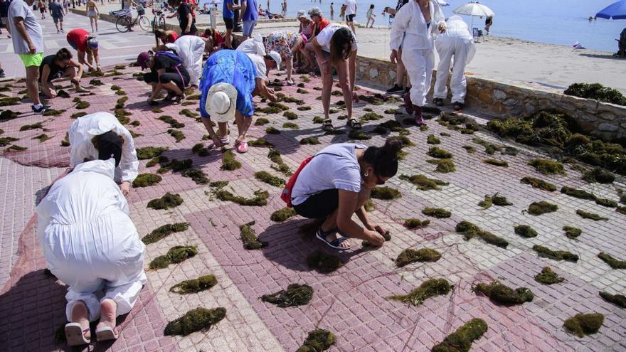 El mal estado  del Mar Menor marca el Día del Medio Ambiente