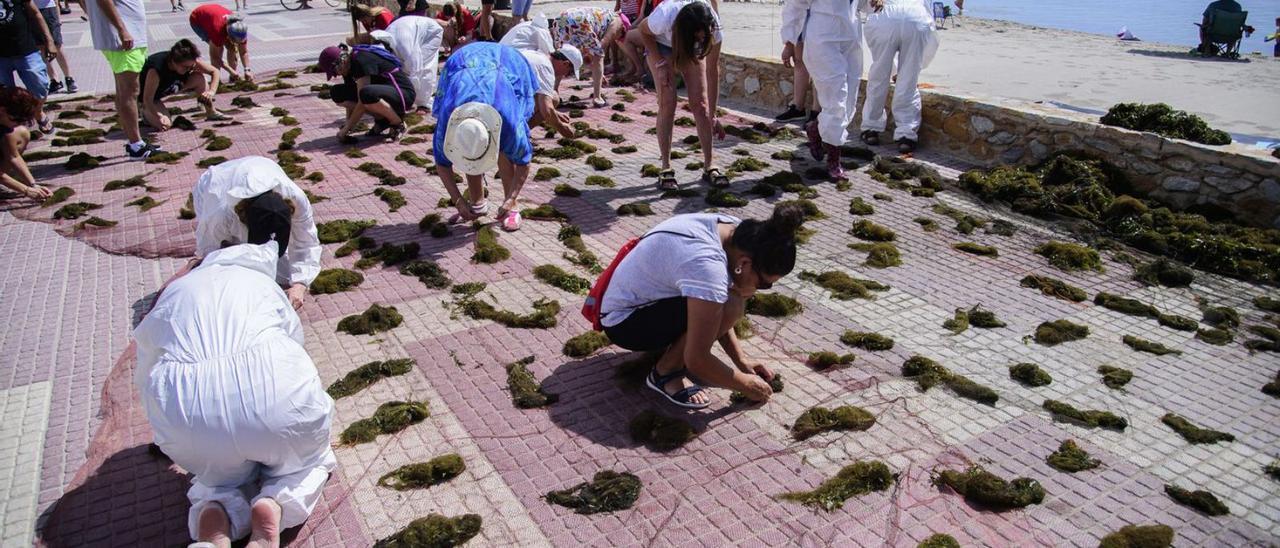 Los voluntarios colocaron pequeños montículos de ova en el paseo marítimo de Los Alcázares | IVÁN URQUÍZAR