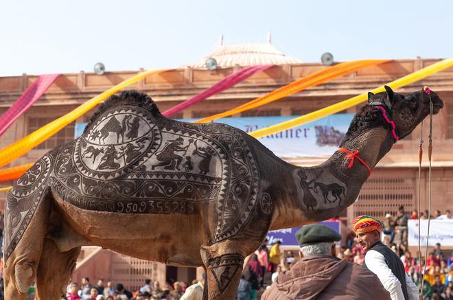 Feria de Pushkar, India