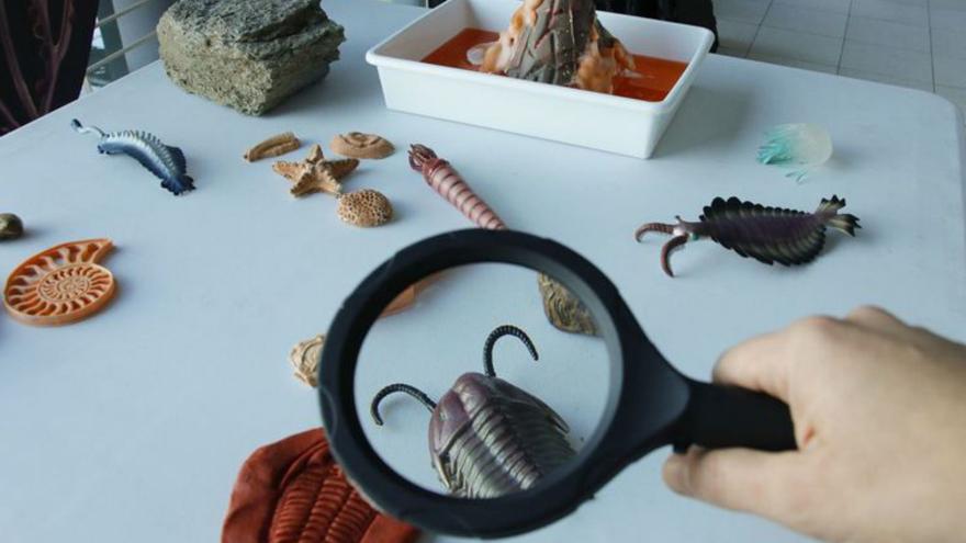 El Pase Anual B! es la suerte de esta Navidad