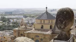La huella de carbono de la Mezquita de Córdoba baja un 15,4% en un año y se sitúa en las 93 toneladas
