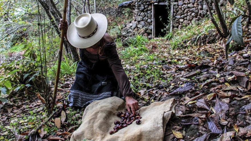 Juanra Álvarez captura los rincones de El Sauzal para el calendario 2026