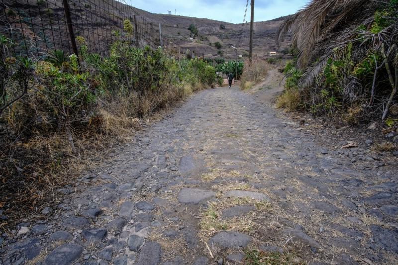 27-07-18. LAS PALMAS DE GRAN CANARIA. CAMINO REAL A GÁLDAR EN TENOYA. FOTO: JOSÉ CARLOS GUERRA.  | 27/07/2018 | Fotógrafo: José Carlos Guerra