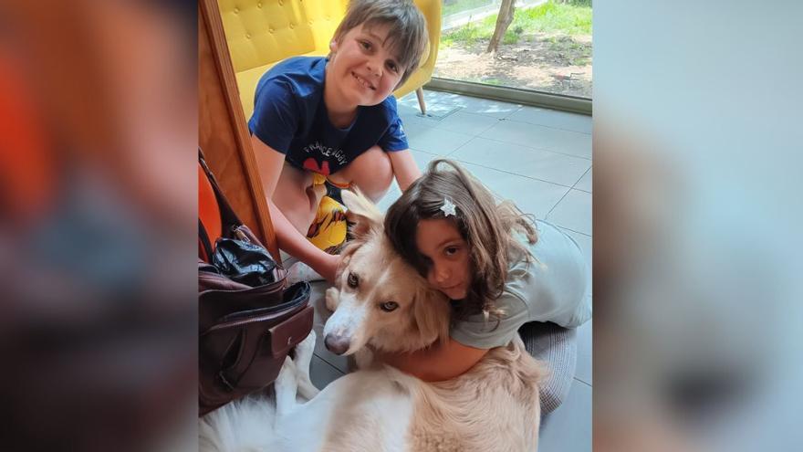 Ocho días sin Gabo: «Si alguien lo tiene y se ha encariñado, se lo regalo; necesitamos saber que está bien y no por ahí tirado»