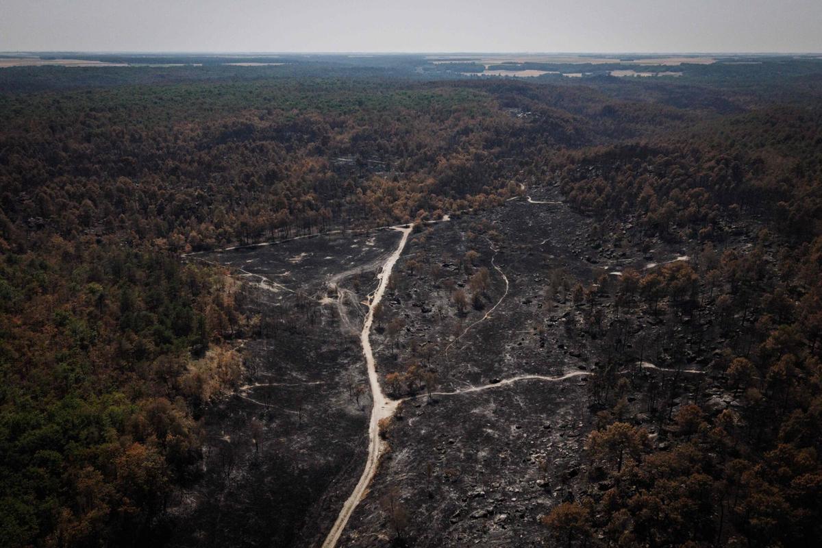 Imagen aérea de la superficie arrasada por las llamas en el popular bosque de Fontainebleau, en la región de París.