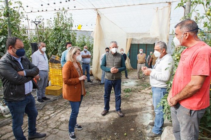 Alicia Vanoostende visita los tomateros de La Aldea