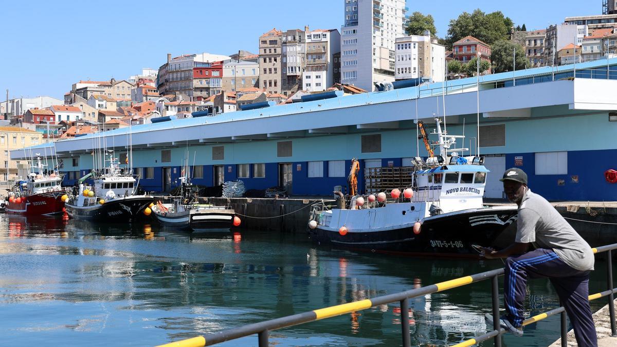 Barcos pesqueros de cerco marrados ayer en O Berbés.