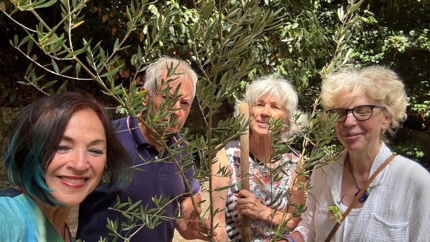 Otro árbol de Nobel para O Salnés