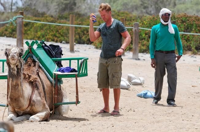 Reportaje excursiones con camellos en las Dunas ...