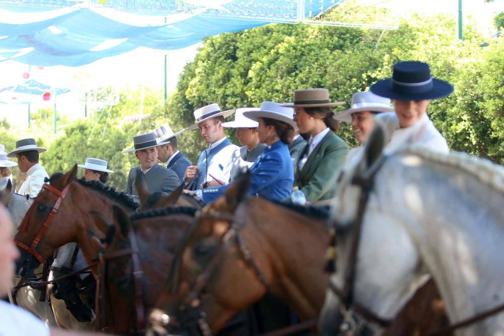 Domingo en el Cortijo de Torres.