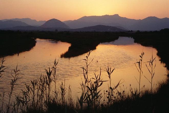 Albufera