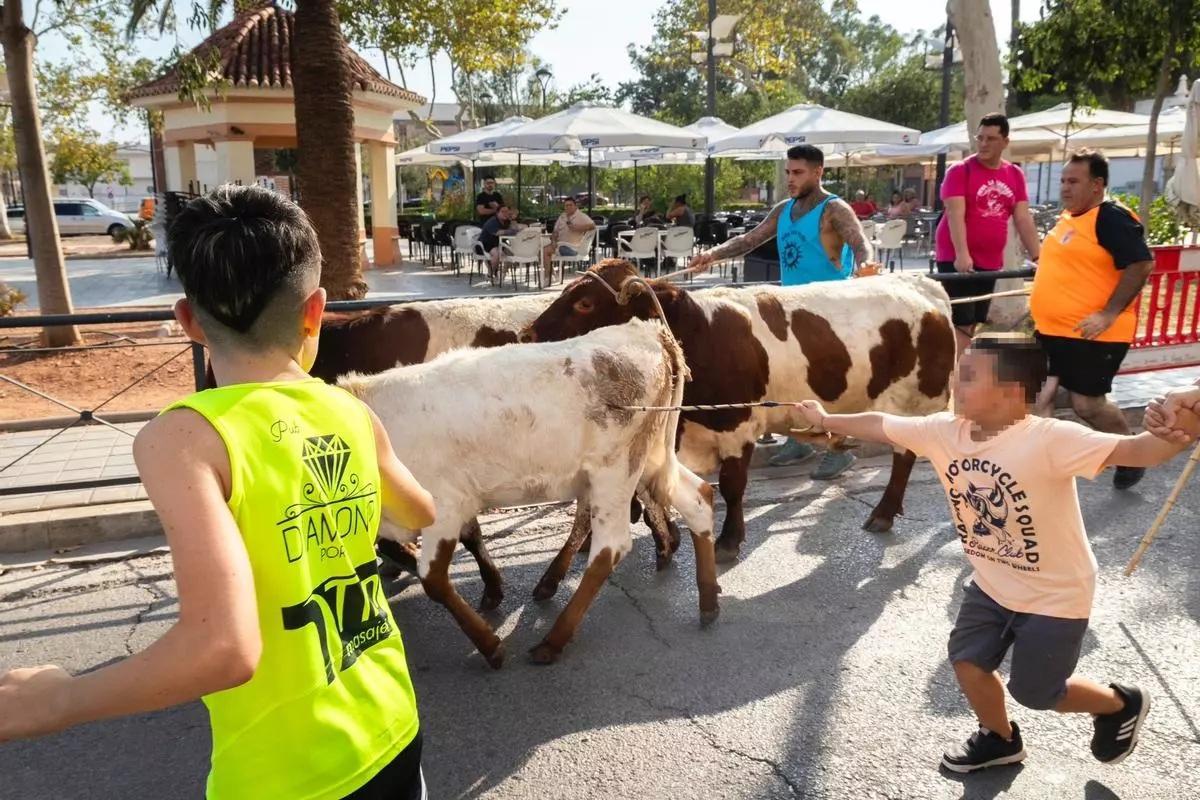 Foto de archivo de una transhumancia infantil celebrada en Port de Sagunt (Valencia).