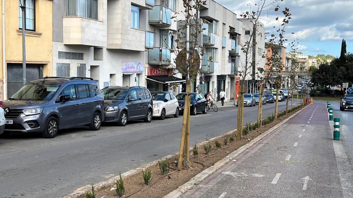 Inca ha efectuado labores de plantación de árboles
