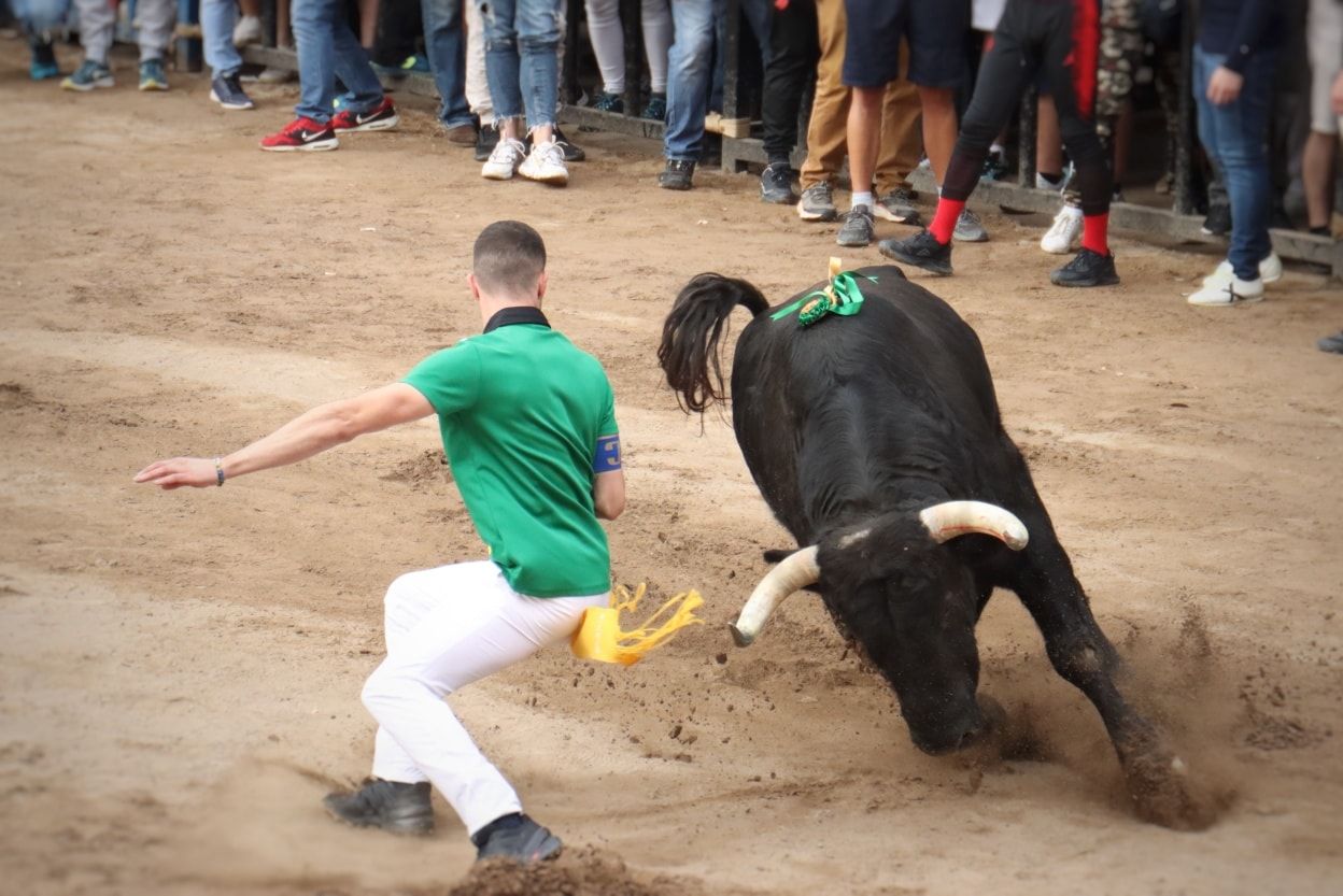 Las fotos del intenso miércoles taurino de la Fira d'Onda con seis toros