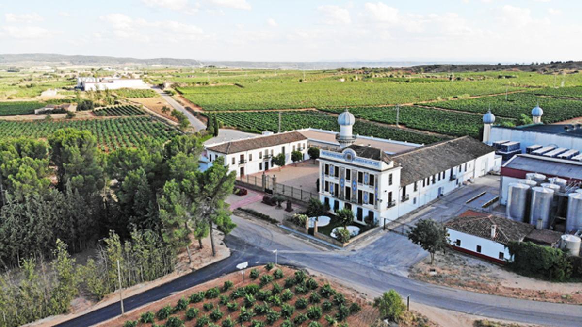 Siete bodegas de Requena forman parte del Consejor Regulador.