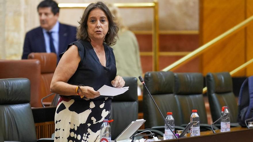 La consejera de Salud y Consumo, Catalina García, en el Pleno del Parlamento del 13 de junio de 2024