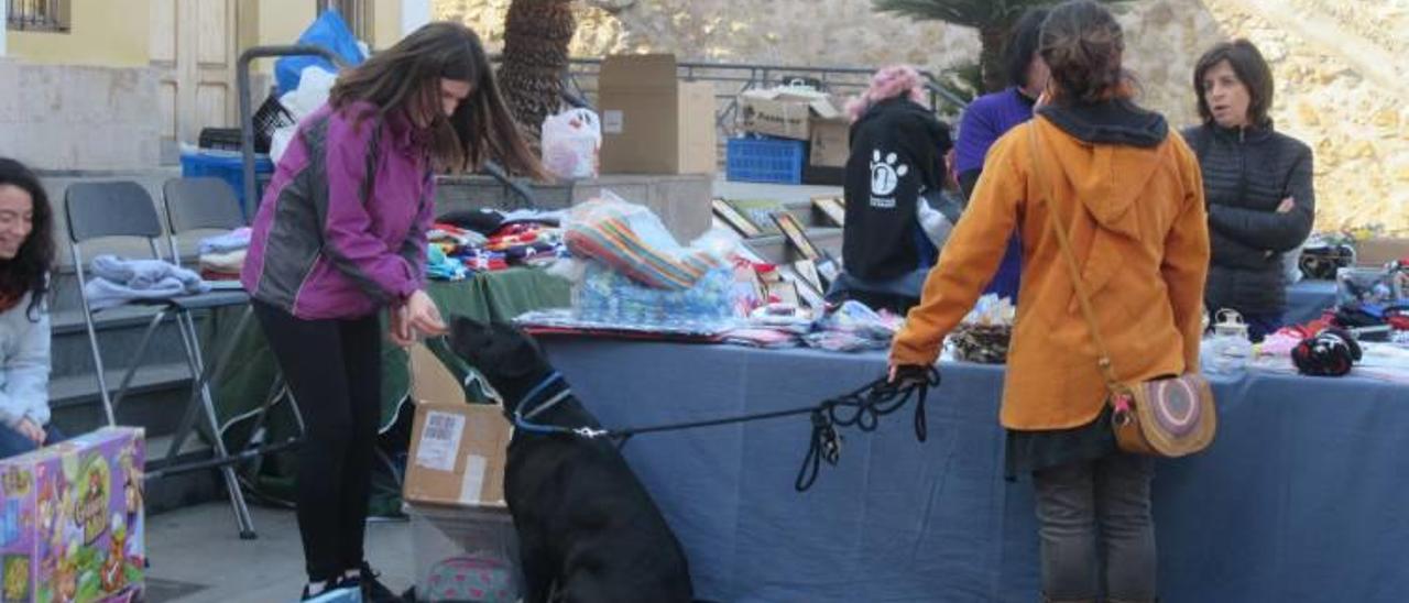 Rastrillo solidario destinado a la protectora SPAB