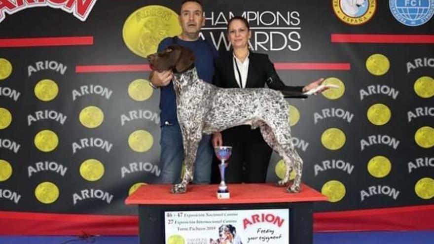 El perro más guapo de España es valenciano