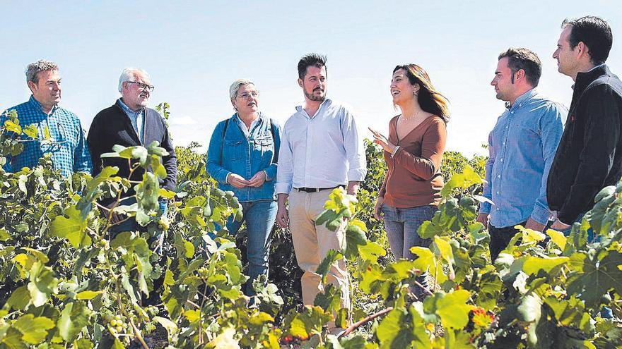 Los elaboradores de cava de Requena posan en un viñedo de la localidad.