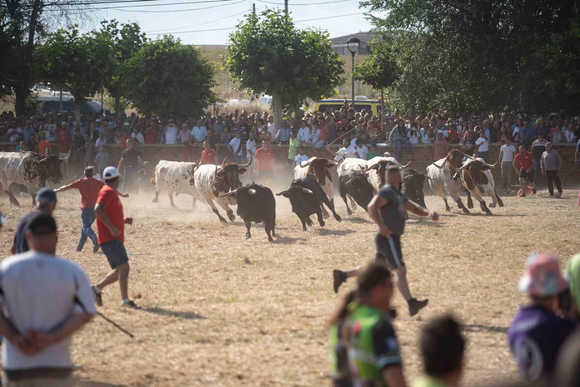 GALERÍA | Las mejores imágenes de los espantes de Fuentesaúco