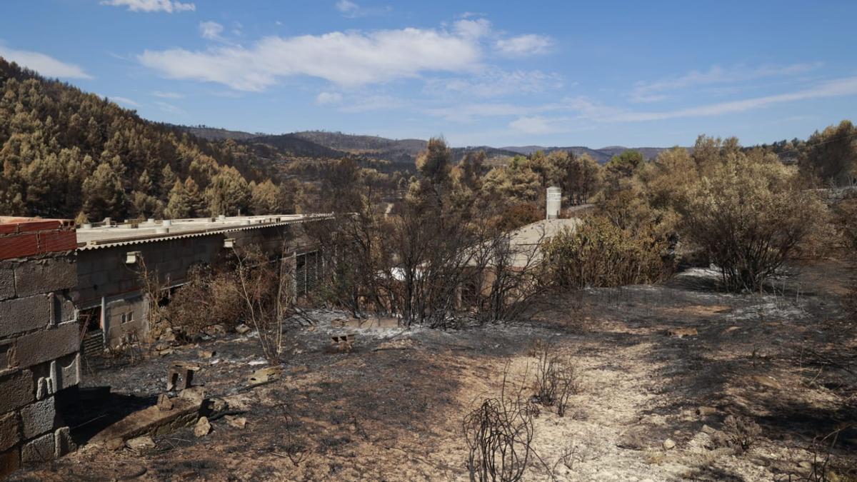 Las consecuencias del incendio de Bejís en Teresa