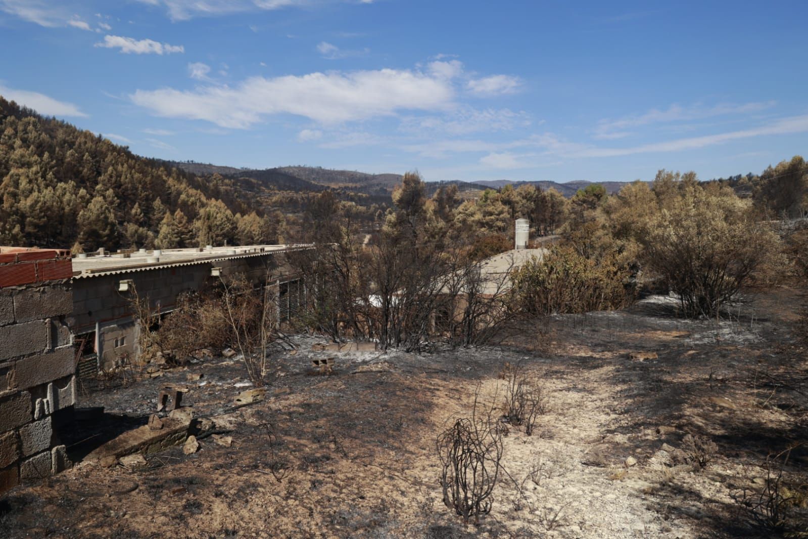 Las consecuencias del incendio de Bejís en Teresa