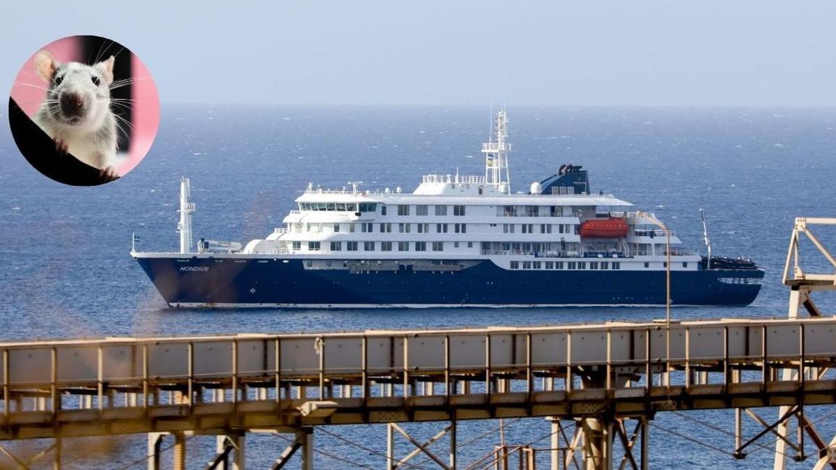El crucero holandés MV Hondius, a punto de zarpar de Cabo Verde.