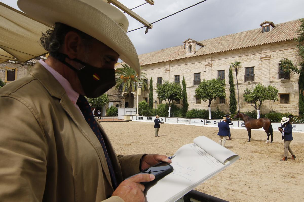 Primer día de Cabalcor y del concurso morfológico