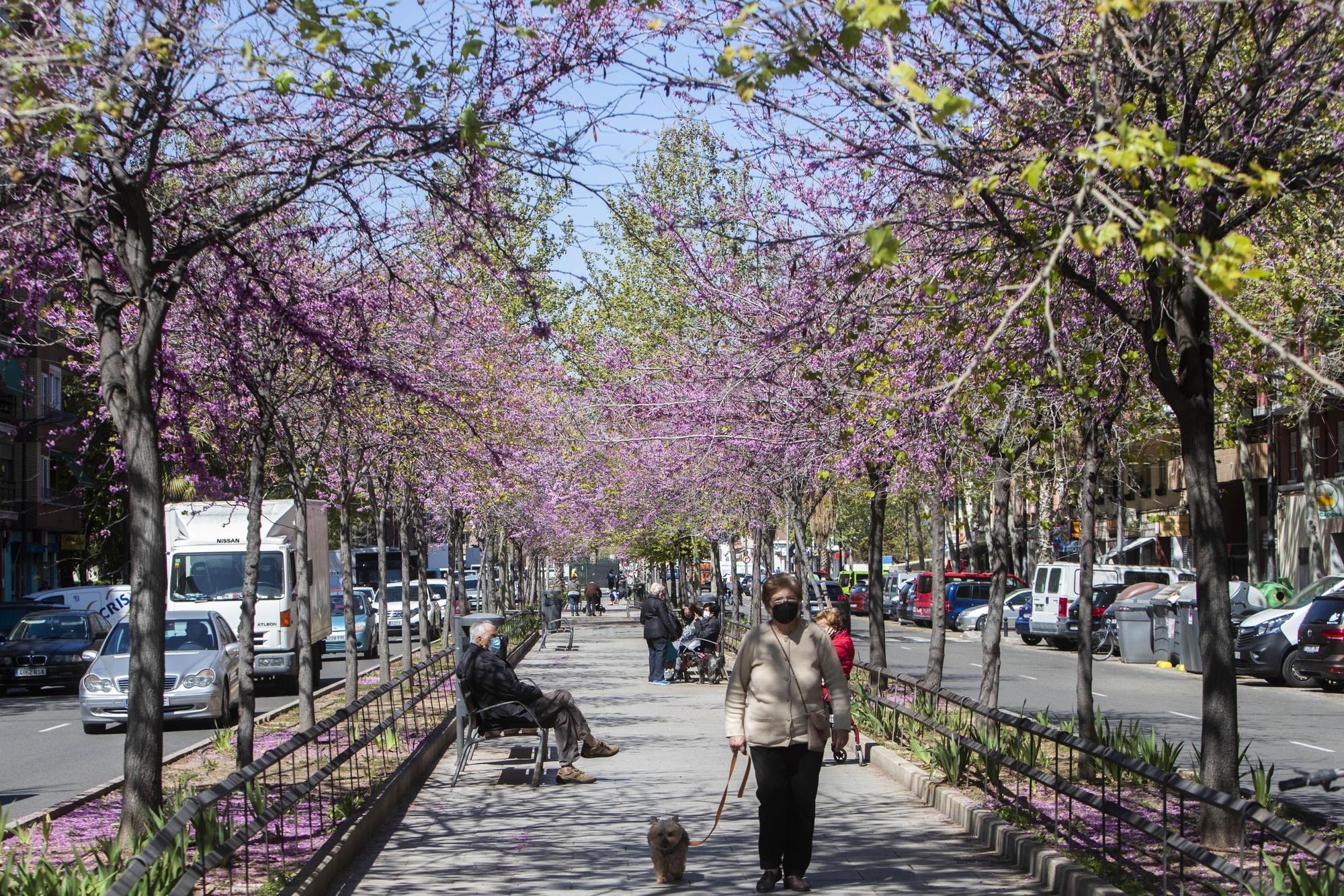 La primavera toma València