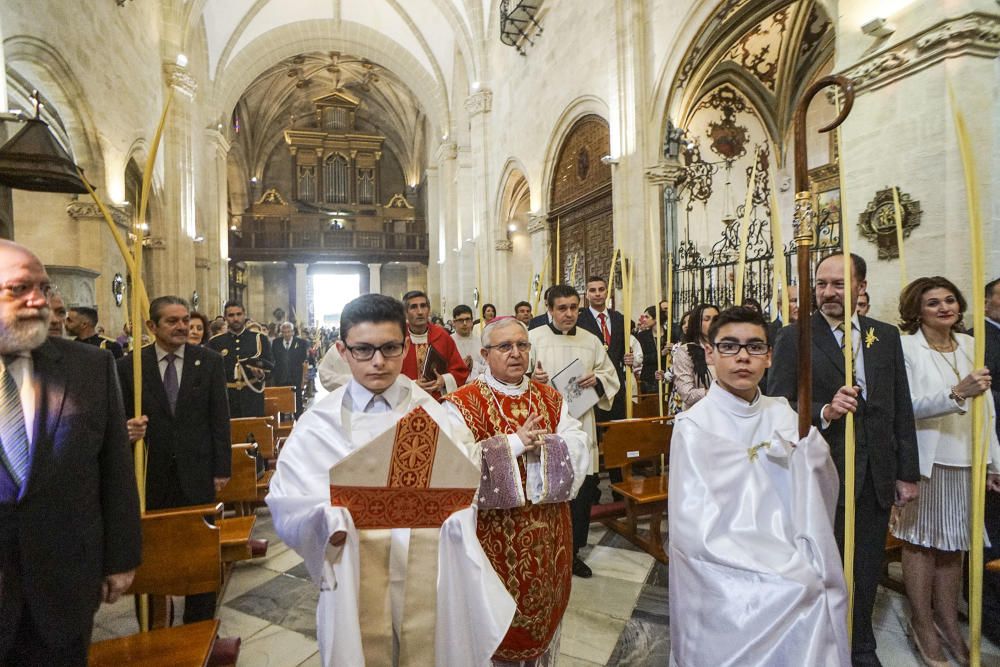 Domingo de Ramos en Orihuela