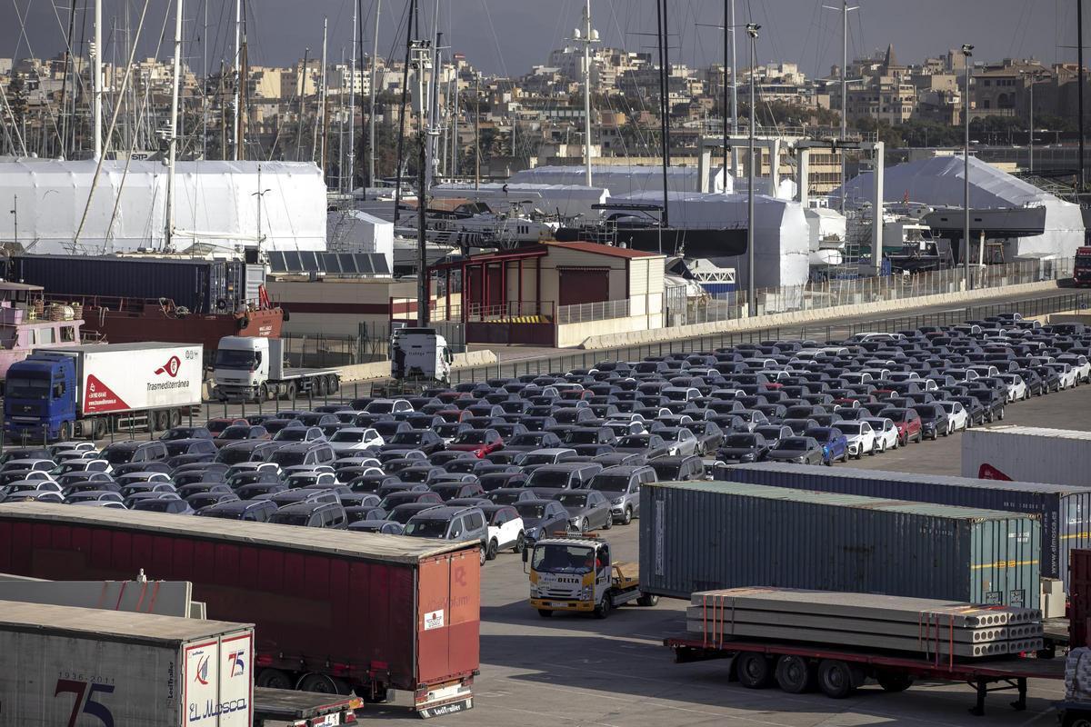 Coches de alquiler en el puerto de Palma.