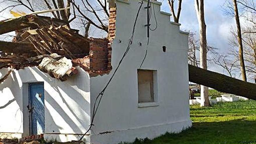 Detalle de la caseta destrozada por la caída del arbolado.