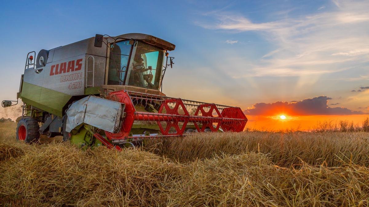 Una de les fotografies premiades