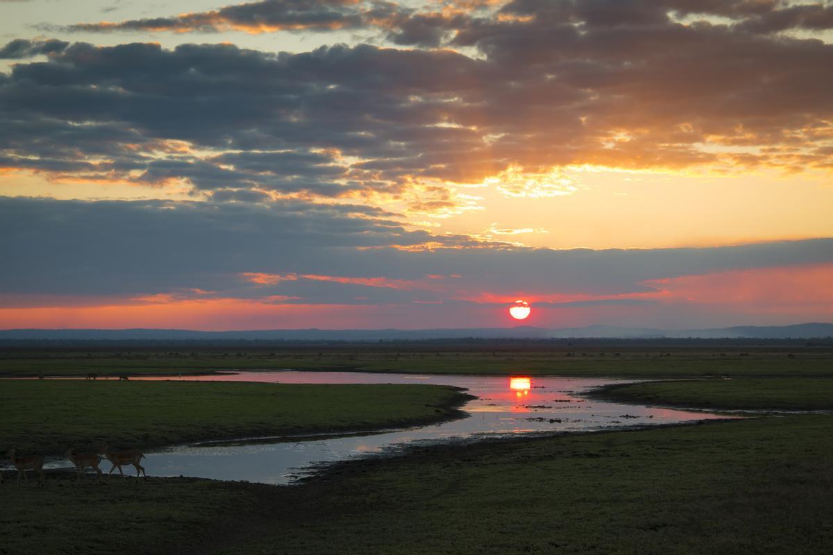 La puesta de sol en el Parque Nacional de Gorongosa, ubicado en Mozambique, transforma la sabana en un paisaje dorado. El cielo se llena de tonos rojos, naranjas y púrpuras. Las llanuras del lago Urema y la silueta del monte Gorongosa crean un escenario único para la fauna local