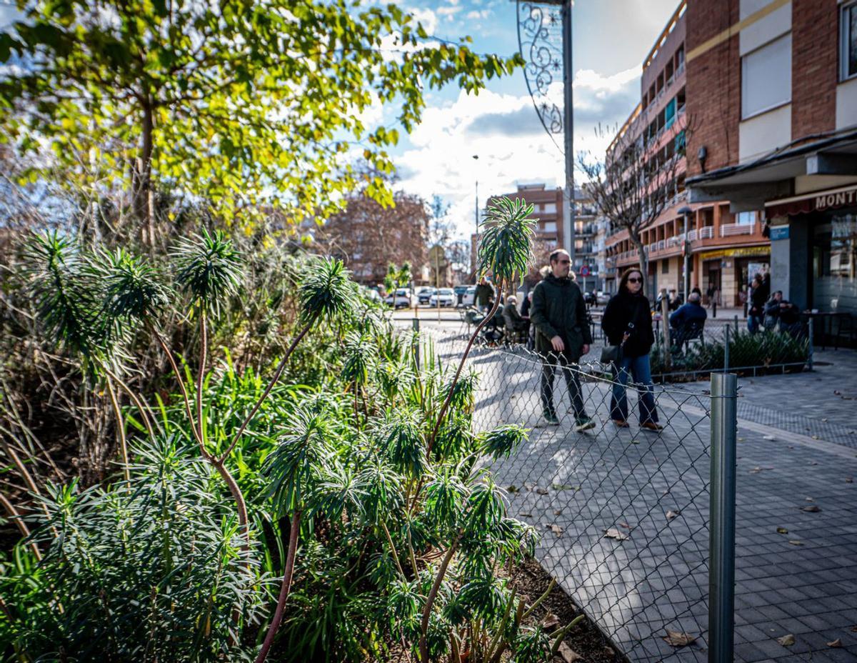 10 anys d’urbanisme verd a Cornellà