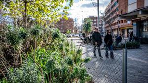 10 anys d’urbanisme verd a Cornellà