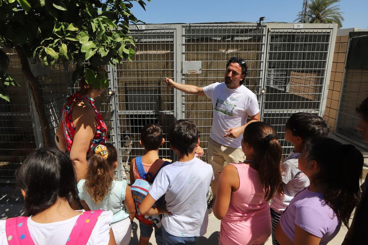 Un técnico de Sadeco explica la situación de los animales a los escolares, durante el taller
