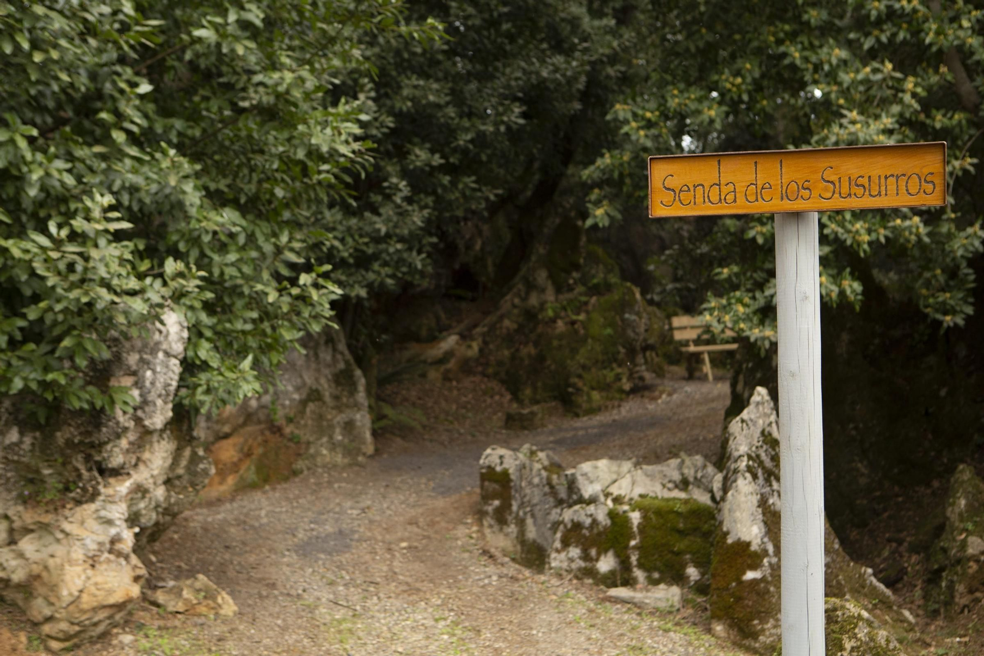 Parque Mitologíco Mina Pepita