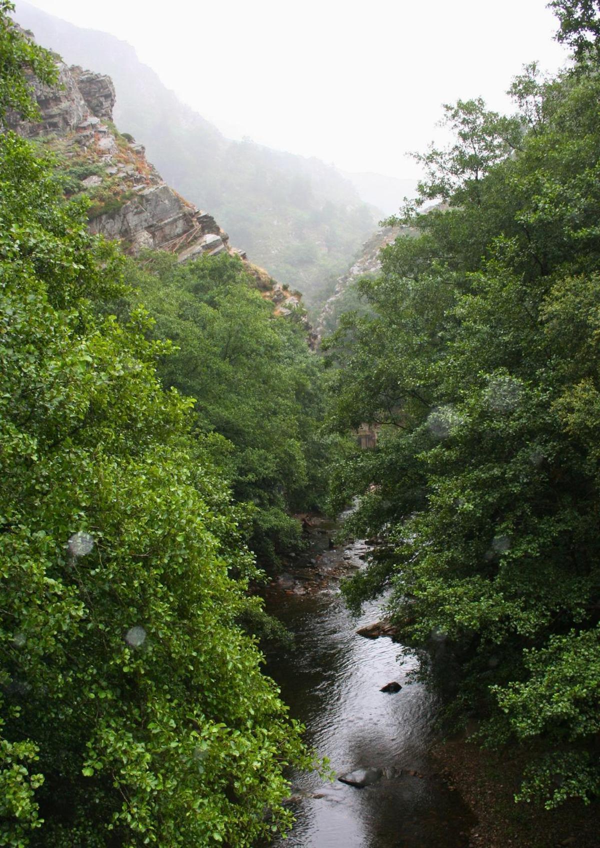 Hoces del río Esva