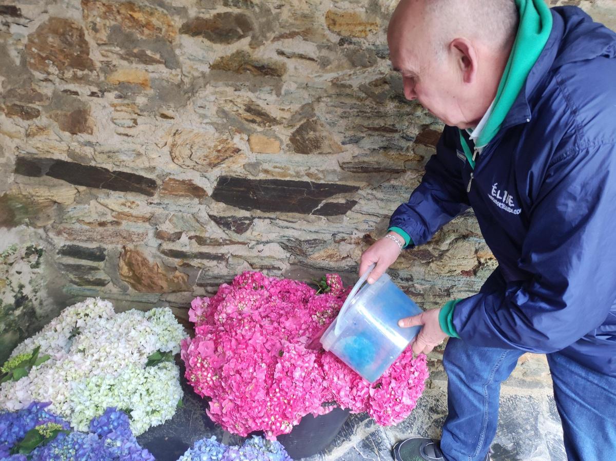 En imágenes: Castropol se llena de flores para el Corpus