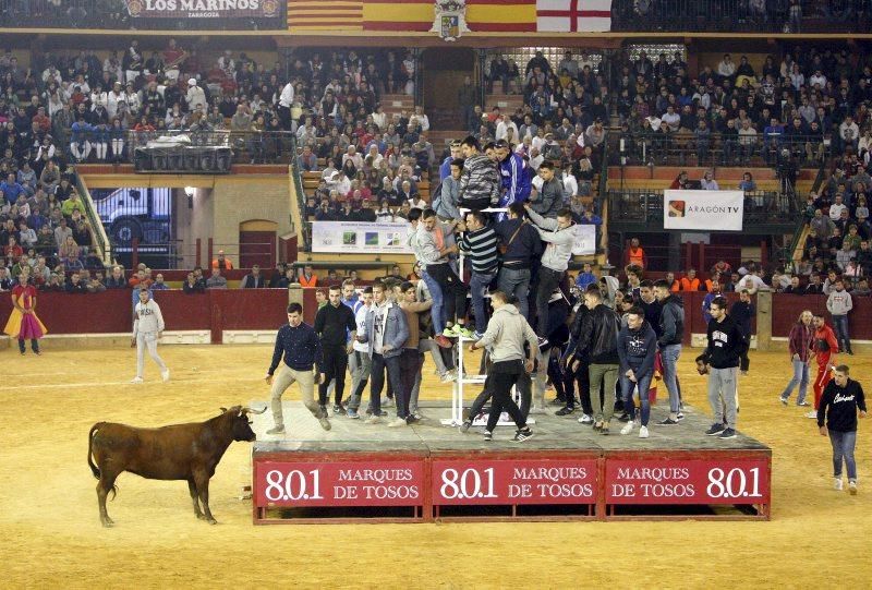 Primera mañana de vaquillas