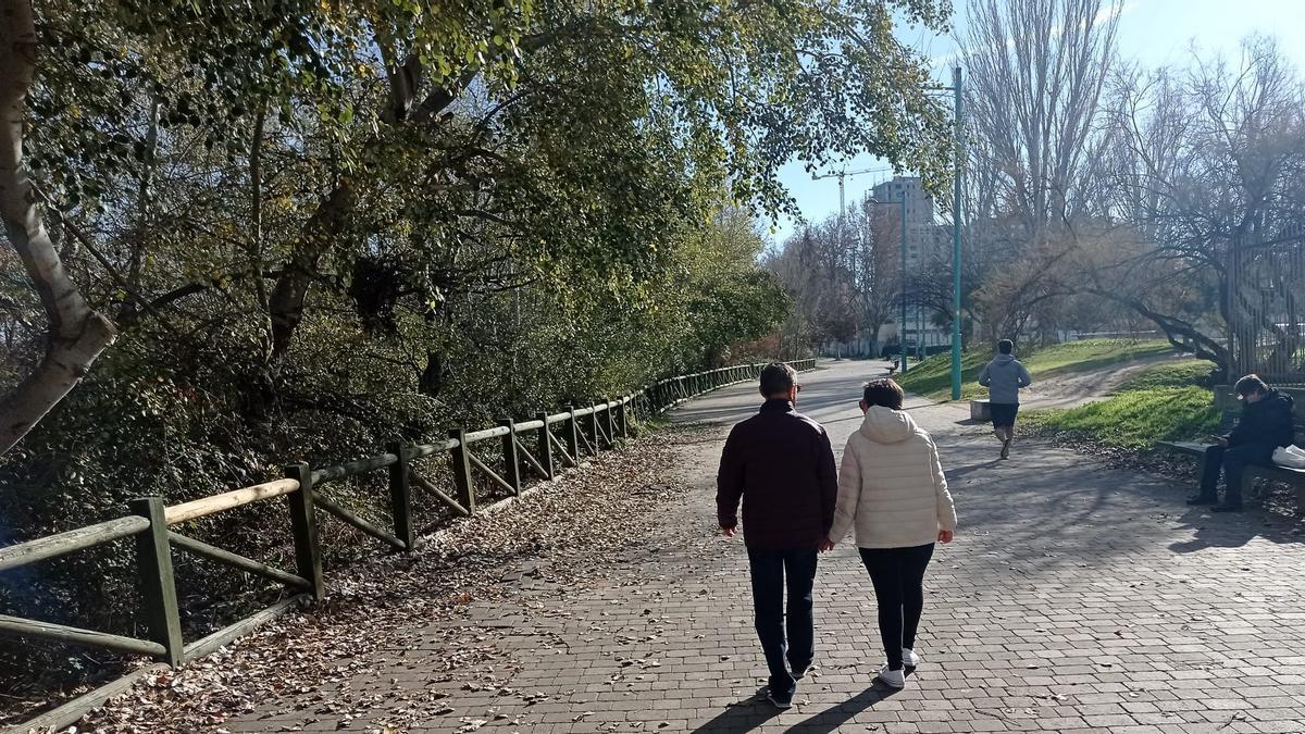 Paseando junto al Ebro, hace unos días