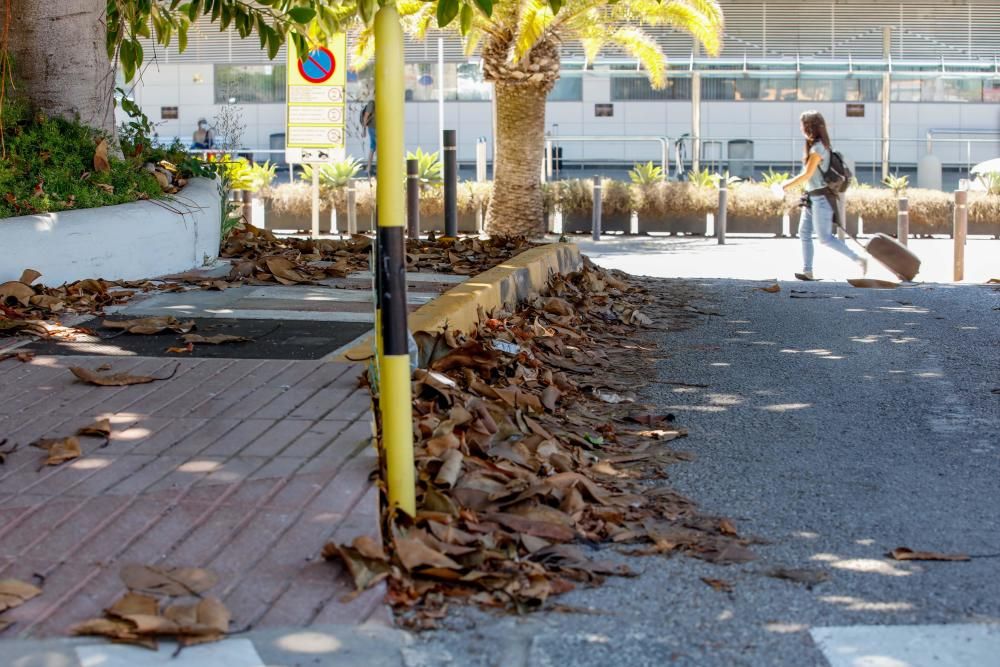 Acumulación de basura y falta de mantenimiento en el aeropuerto de Ibiza