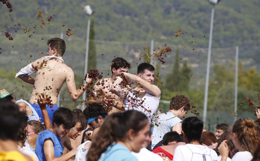 Una guerra con quince toneladas de proyectiles dulces en Binissalem