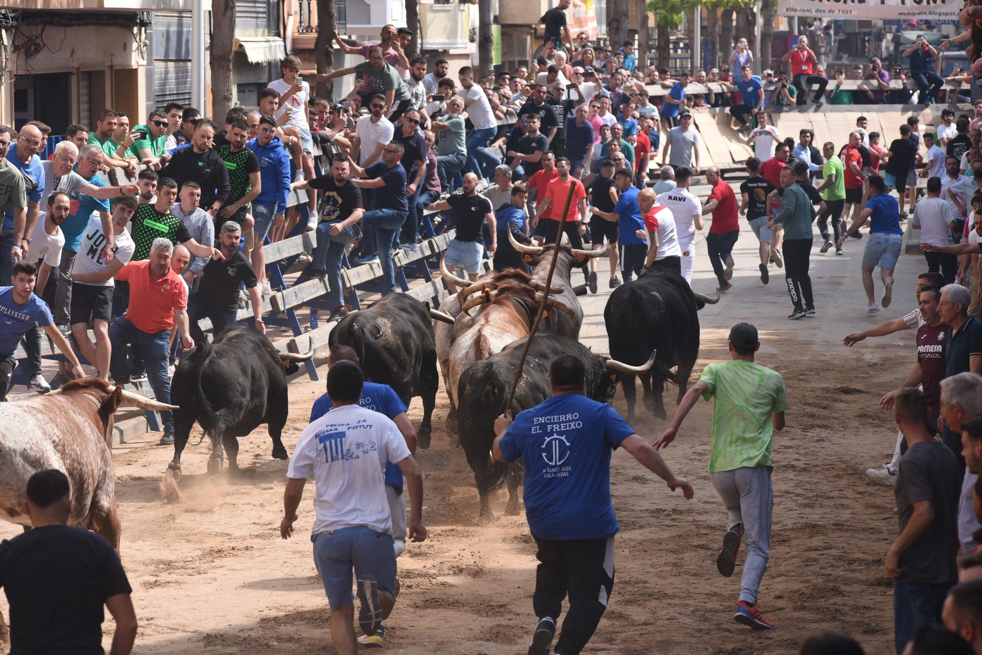 Bou per la vila en les Festes de San Pasqual de Vila-real