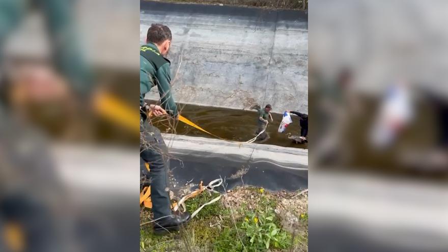 Rescatan a una garza que había caído en un canal de riego del Guadiana, en Cáceres