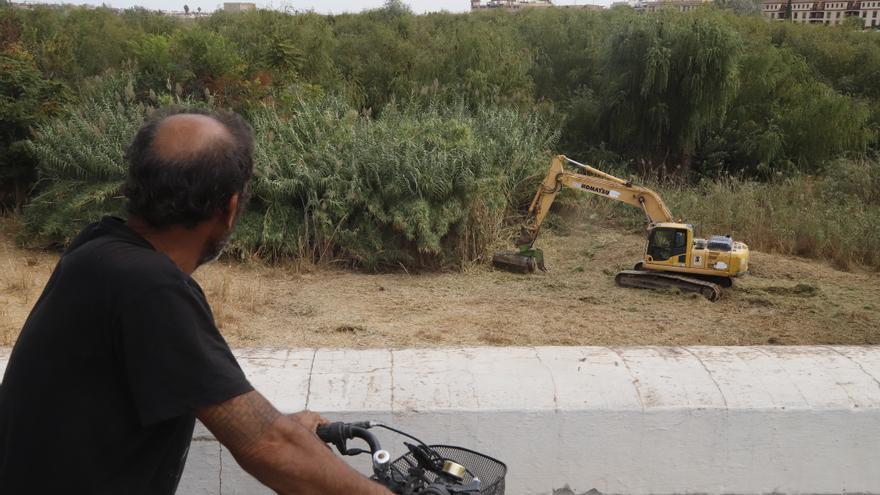 Máquinas, trajes especiales antiavispas y pasarelas en el río: así limpia la Junta de Andalucía los Sotos de la Albolafia