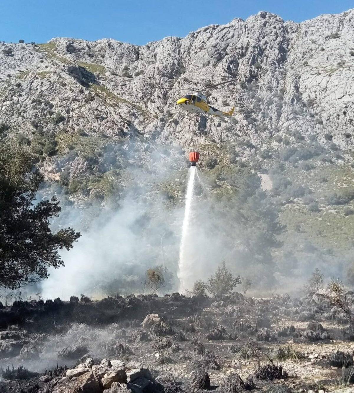 Löscharbeiten des Waldbrandes auf dem Landgut Almallutx.