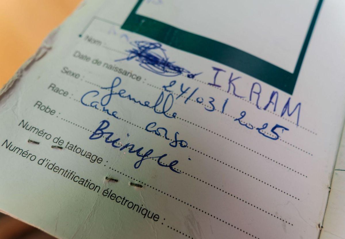 «Ikram era la única que viajaba con papeles»