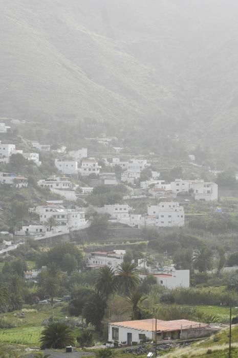 METEOROLOGIA. CALIMA.